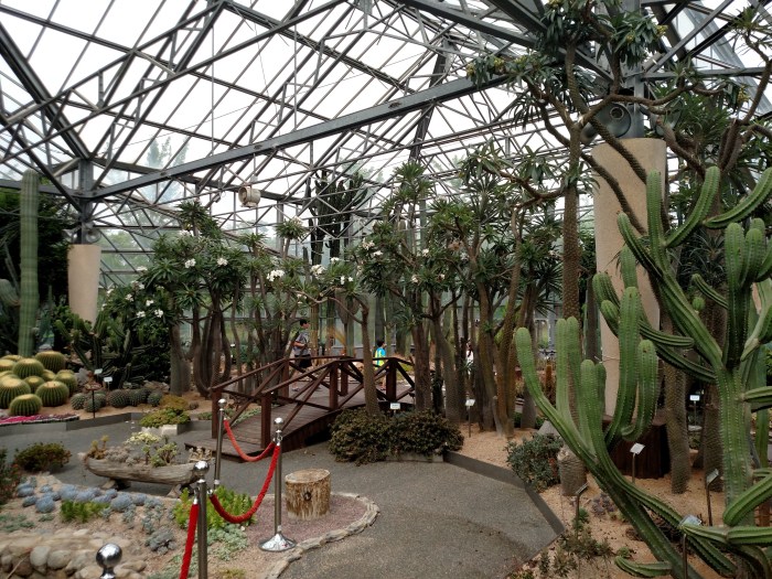 IMG_20160703_153411865