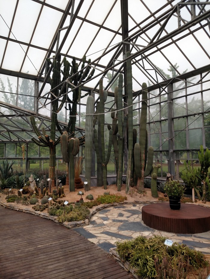 IMG_20160703_153600172